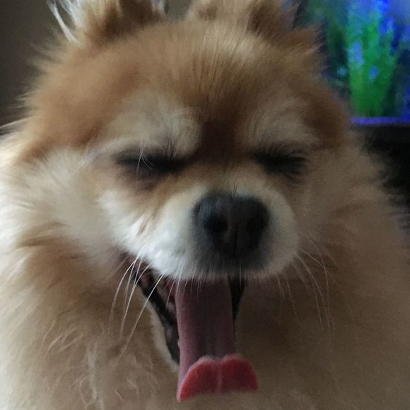 edstepp